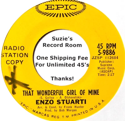 Enzo Stuarti That Wonderful Girl of Mine / I Hear a Rhapsody NM 45 7" Vinyl Foto 1 de 3