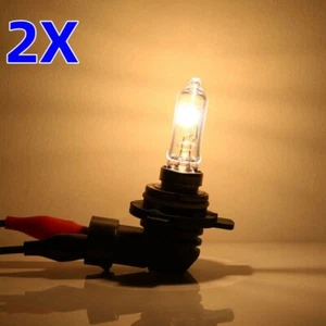 2x HIR2 9012 Birnen PX22d Halogen Auto Lampe 55W Glühbirnen 12V Glühlampe DHL - Bild 1 von 6