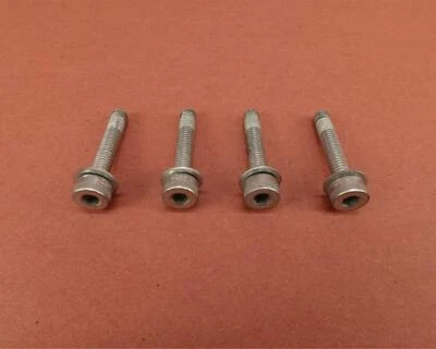 Комплект крепежных болтов 2018-2022 Harley Davidson Heritage Classic FLHCS - Изображение 1 из 4