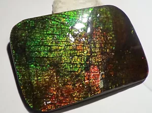 400 Carat.!! I Sammler Ammolite /Drachenschuppe Grün-Golden-Orange + VIDEO - Bild 1 von 5