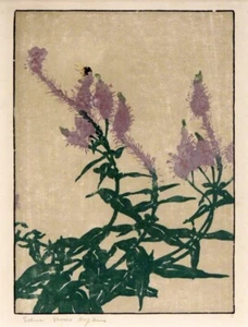 Veronica Art Print – Edna Boies Hopkins 1922 Woodcut Botanical Elegance - Picture 1 of 2