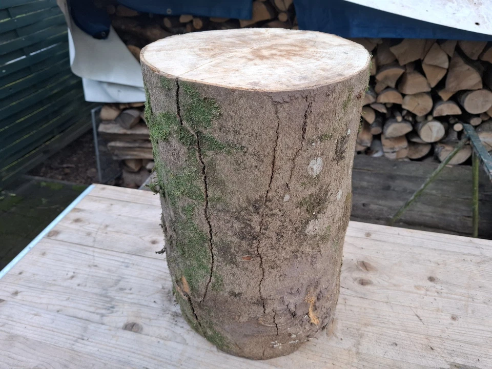 DEKO Baumstamm Holz Klotz AHORN Höhe ca. 40 cm Durchmesser ca. 30 cm HAUKLOTZ - Bild 1 von 4