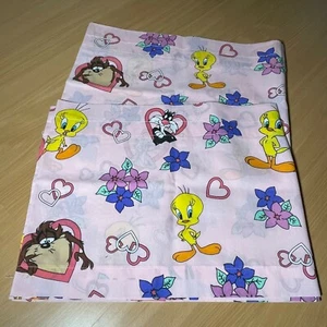 Paneles de ventana vintage años 90 Warner Bros Looney Tunes Piolín, Silvestre, Taz - Imagen 1 de 8