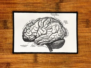 Parche de ilustración anatómica cerebral planchado en 6,25x3 pulgadas ciencia ropa hágalo usted mismo - Imagen 1 de 3