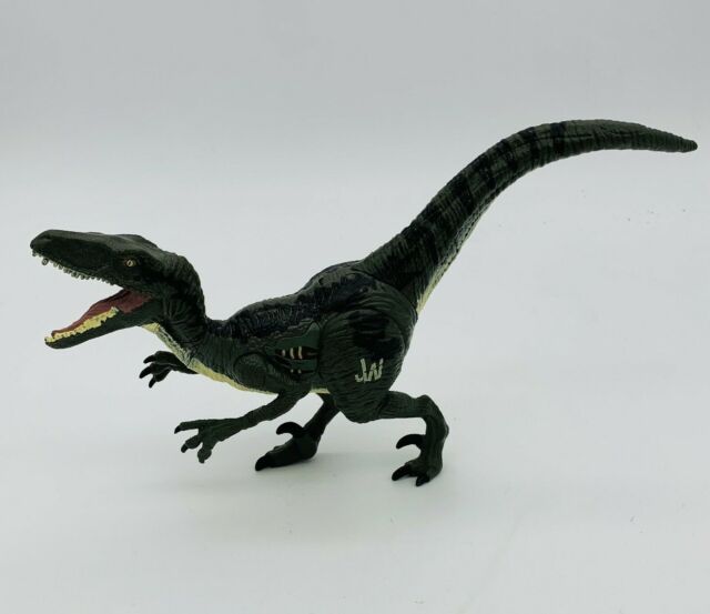 Jurassic World Dinossauro Proceratosaurus 30 Cm - Mattel - STEM Toys -  Brinquedos Educativos e STEAM