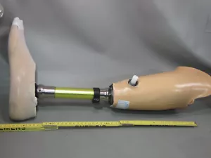 Otto Bock 4R52 Titan Stütze für Orthese Fuss 29 cm - Foto 1 di 8