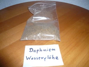 300 ml Daphnien Wasserflöhe Fischfutter , Futter für Reptilien   (14,63€/L) - Bild 1 von 1
