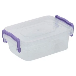 650ml Clear Plastic Food Storage Boxes with Lids, Handles, and Clip Closure - Picture 1 of 2