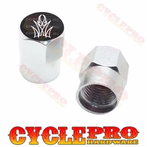 2 Tapas de válvula personalizadas de aluminio Billet plateadas hexagonales para motocicleta - RAYAS BLANCAS Foto 1 de 1