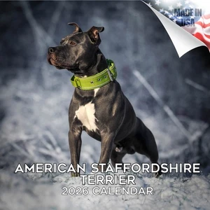 American Staffordshire Hunderasse Kalender 2026 volle Größe 12x24 Made in USA - Bild 1 von 10