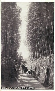 Japón - Madera de bambú en Kioto Kioto 03.90 - Imagen 1 de 2