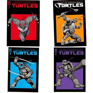 Teenage Mutant Ninja Turtles (2024) #1 2 3 4 Cover Set IDW - Picture 1 of 5