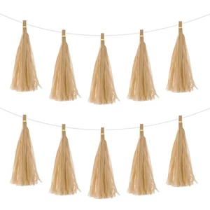 20Pcs Khaki Tassel Garland Banner with Rope - Picture 1 of 7