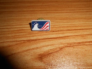 CFC LAPEL PIN ( Combined Federal Campaign ) - Picture 1 of 3