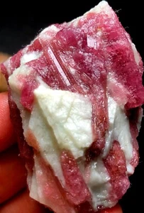 68g 1PCS Natural Red tourmaline Quartz Crystal cluster mineral specimen p73 - Imagen 1 de 8