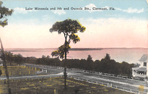 c.1910 Home Lake Minneola 5th & Osceola Sts. Clermont FL post card