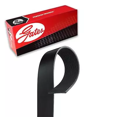 Ventilador de correa Gates Serpentine para camión Sterling ST9500 1999-2003 Foto 1 de 4