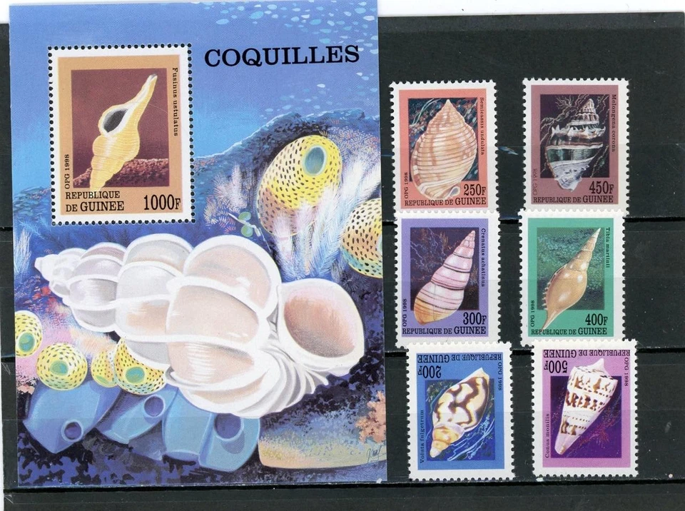 Guinea 1998 Shells Scott# Juego de 6 y S/S como nuevo NH Foto 1 de 1