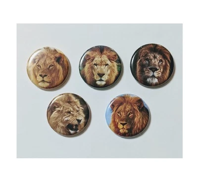 Conjunto de 5 ímãs de geladeira/armário Lion 1,25" - Imagem 1 de 2