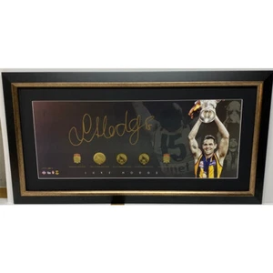 LUKE HODGE HAND SIGNED FRAMED HAWTHORN OFFICIAL LIMITED EDITION PRINT PANOGRAPH - Picture 1 of 1