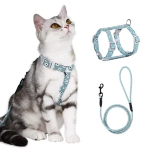 Katzengeschirr mit Leine Ausbruchsicher Geschirr Katzen Katzenleine Verstellbar - Bild 1 von 40