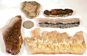 5 Agates W/ Inclusions Graveyard, Seam Free Ship Total 8.1 Oz. 1st Pic Wet #3582 - Picture 1 of 4
