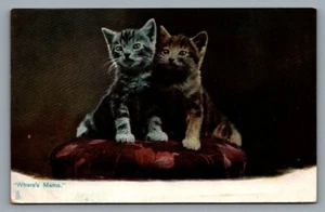 Tuck's postcard Kittendom, "Where's Mama" Series 1418 2 kittens on pillow - Picture 1 of 2