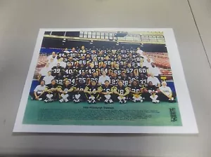 8 1/2" x 11" FARBE PITTSBURGH STEELERS 1995 TEAMFOTO - Bild 1 von 1