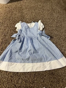 Rare Edition Girls Size 2T Blue & White Plaid Dress with White Shirt - Picture 1 of 8