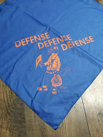 Vintage 1970s FLORIDA GATORS Football Handkerchief Rally Towel Scarf Defense Cover