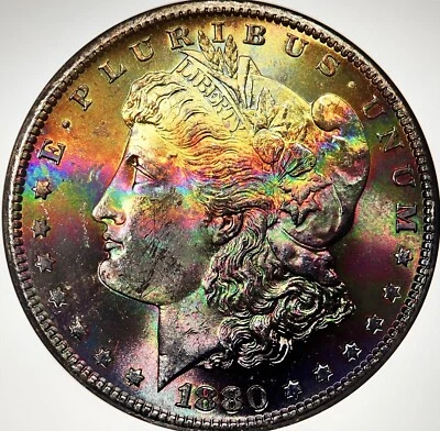 1880S Rembrandt on Silver Morgan $ NGC MS 64💎💎Godzilla Monster Toning💎💎VIDEO - Image 1 of 4