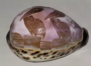 Diseño de pelícano tallado Cowrie Shell 3"x1,5" - Imagen 1 de 7