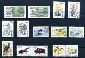 LS45060 Belarus 2004 cats animals fauna flora horses sheets MNH - Picture 1 of 1