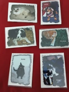 Magnetic Photo Pockets - 2-1/2x3-1/2 (6 Pack) - Picture 1 of 2