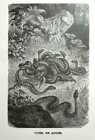 1884 Viper Or Adder Wood Cut From Brehm's Life Of Animals Alfred Edmund Brehm