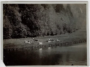 Gorges du Doubs Francia - Del lado suizo 1927 fotografía original antigua - Imagen 1 de 2