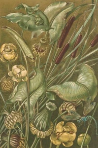 Floral Notes : Anton Seder : 1890 : Archival Quality Art Print to Frame - Picture 1 of 2