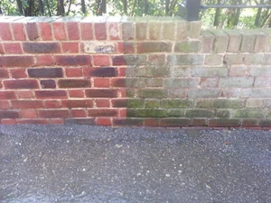 Oasis Patio / Masonary Cleaner (100g enough for 5 litres) revives; removes algae - Picture 1 of 8