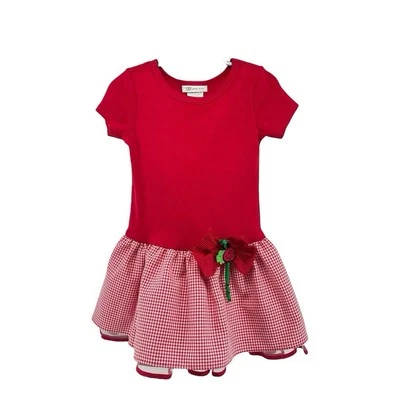 Bonnie Jean Girl’s Red Gingham Dress with Ladybug Appliqué Bow – Size 5 - Image 1 of 4