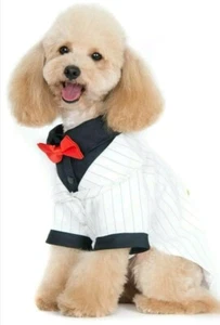 Esmoquin blanco formal Alfie Pet XXL Oscar con lazo rojo/corbata negra disfraz perro - Imagen 1 de 5