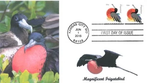 4994 MAGNIFICENT FRIGATEBIRD - Patricia J. Walker #2 of 2 - Picture 1 of 2