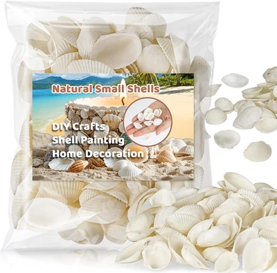 90 PCS White Sea Shells - 0.8-1.2 in Small Clam Shells for Crafts Tiny Seashells - Image 1 of 4