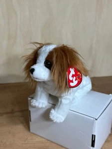 🐶 Regal the Dog Ty Beanie Baby Gen 8 - ¡Favorito de coleccionista! - Imagen 1 de 7