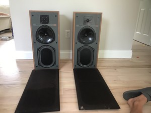 kef 204