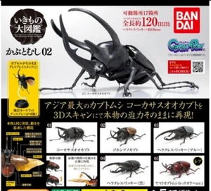 The Diversity of Life on Earth Rhinoceros Beetle 02 Figure Bandai Capsule Toy - Picture 1 of 21