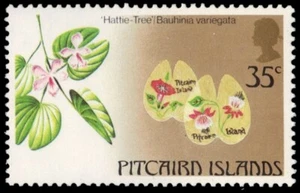 PITCAIRN ISLAND 229b (SG243) - Hattie Tree "Bauhinia variegata" (pa81611) - Picture 1 of 1