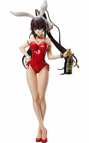 Houki Shinonono Bare legs Bunny Ver. Infinite Stratos B-Style 1/4 PV... Figure Cover