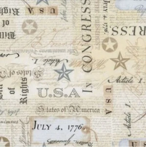 USA BILL OF RIGHTS stampa cotone di TIMELESS TREASURES BTY - Foto 1 di 1