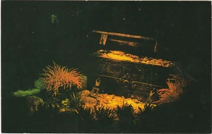 Treasure Chest Sunken Chevron Harbor Golden Doubloon Fort Lauderdale Florida - Foto 1 di 2
