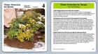 Winter Protection For Shrubs #14 Tools - My Green Gardens 1987 Cardmark Card